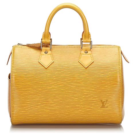 louis vuitton speedy 25 organizer.